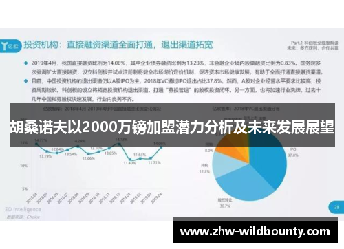 胡桑诺夫以2000万镑加盟潜力分析及未来发展展望