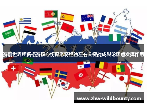 赛前世界杯资格赛核心伤停老将经验左右关键战成舆论焦点发挥作用